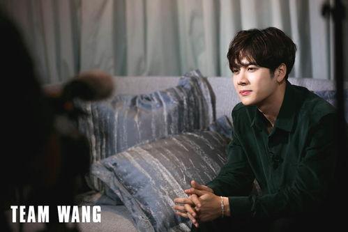 爆料王嘉尔视频大全最新  第3张